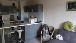 Apt 5 couchages Camargue Village 150 m de la plage